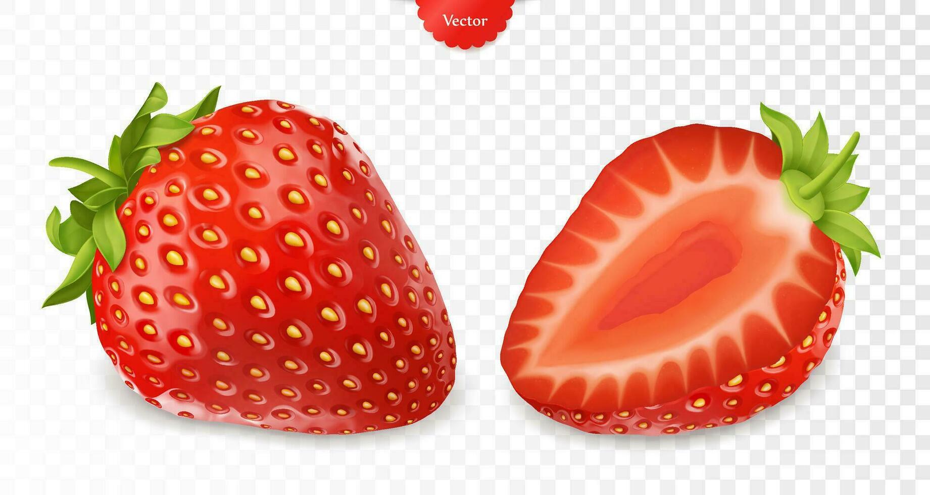 Realistic whole and sliced strawberry vector isolated