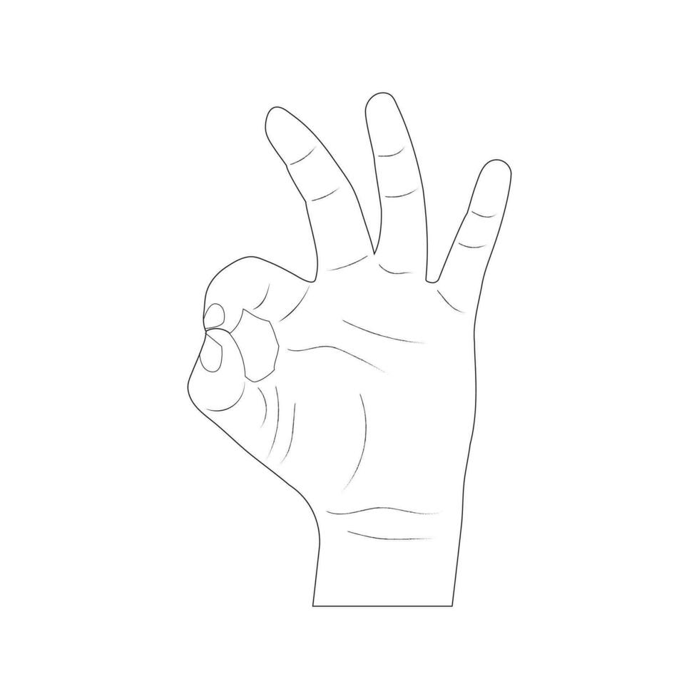 Hand showing OK, vector, hand line art vector