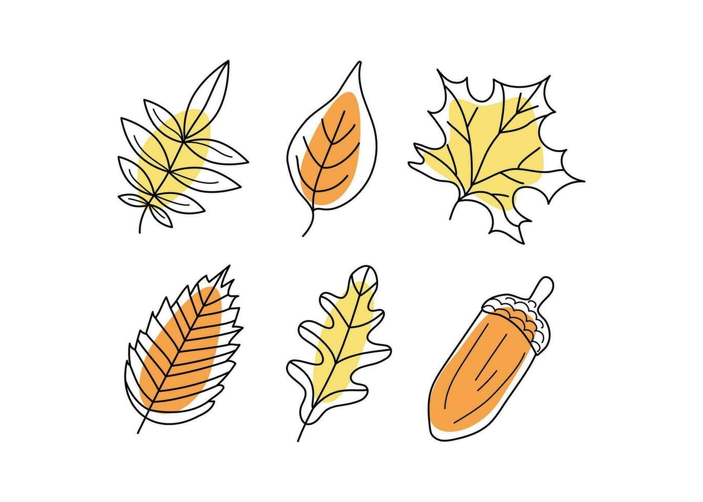 Set leaves. Autumn leaves and acorn , variety. Doodle icons. Vector illustration on a white isolated background.