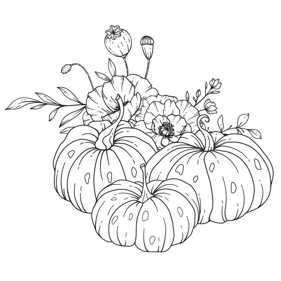 Pumpkins with Wildflowers Line Art Illustration, Outline Pumpkin arrangement Hand Drawn Illustration. Coloring Page with Pumpkins.  Thanksgiving Pumpkins and Poppy set. Thanksgiving Pumpkins set vector