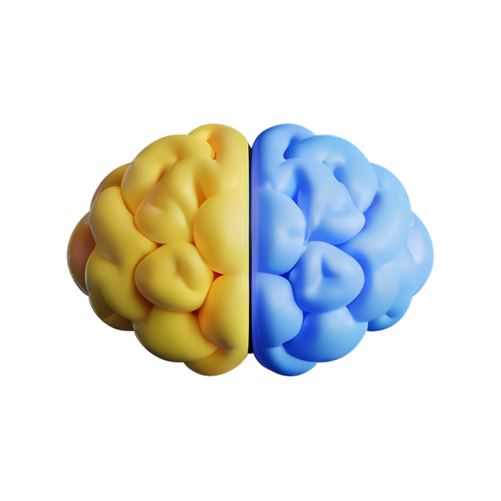 brain 3d icon illustration png