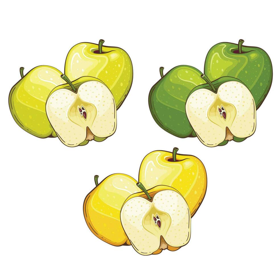 Apple isolated vector illustration. Fruits colorful illustrations isolated on white background.  Fruit collection.