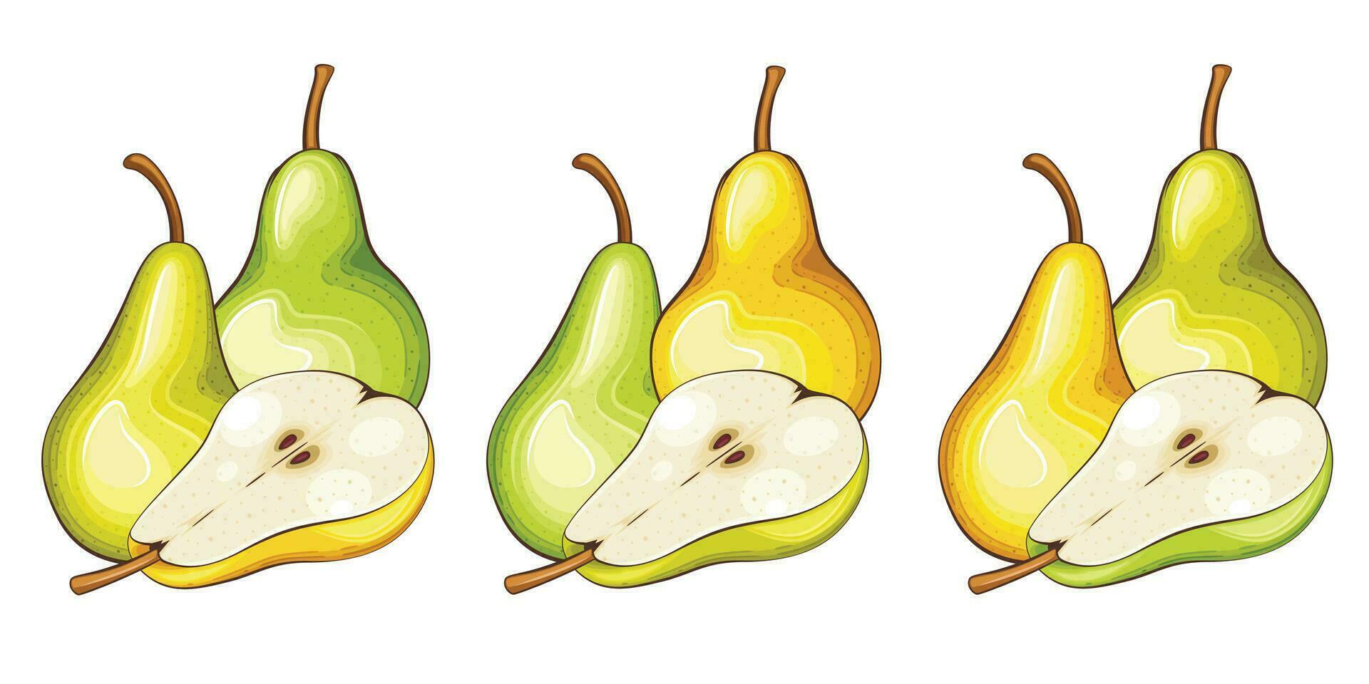 Pear isolated vector illustration. Fruits colorful illustrations isolated on white background.  Fruit collection.
