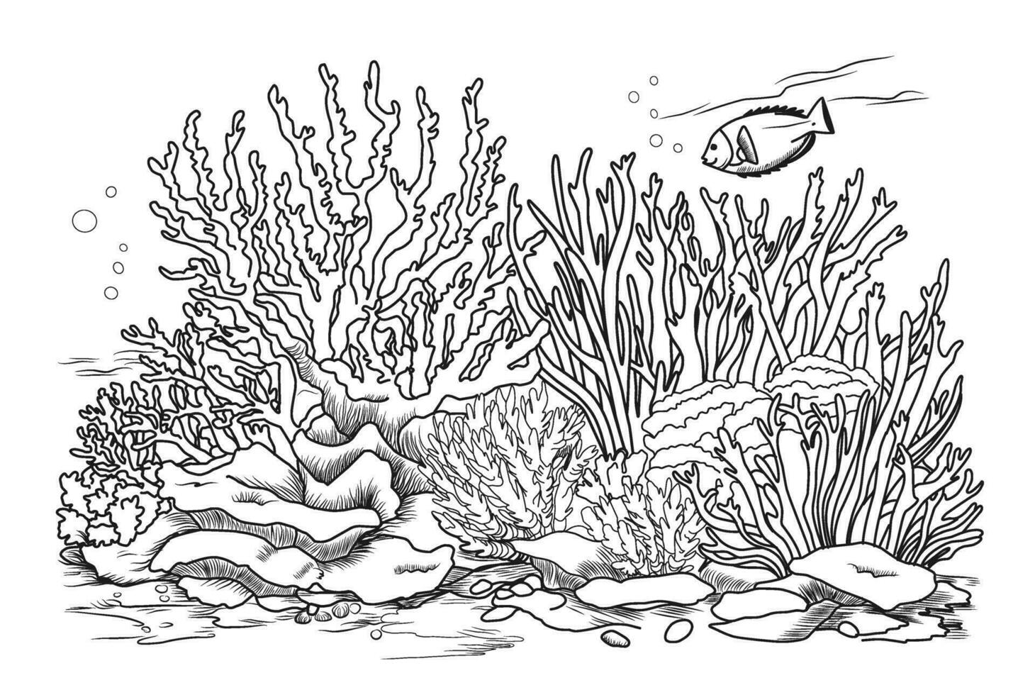 Underwater world coloring page. Coloring page life in the ocean with algae. vector