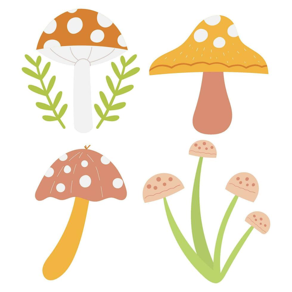 mushrooms set vector illustration