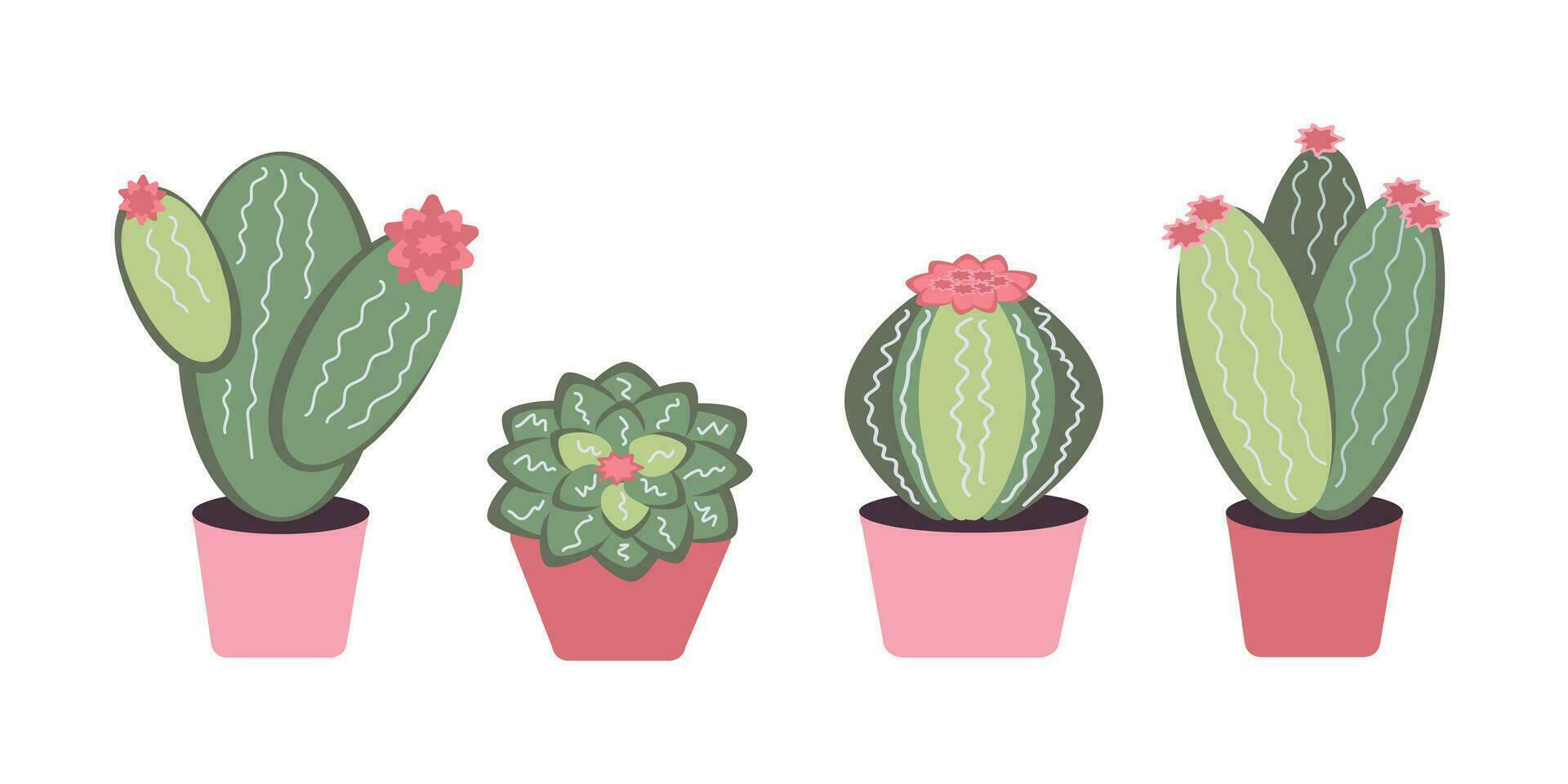 Set of indoor cartoon cactus succulents of different shapes. Houseplants in pots. Vector illustration