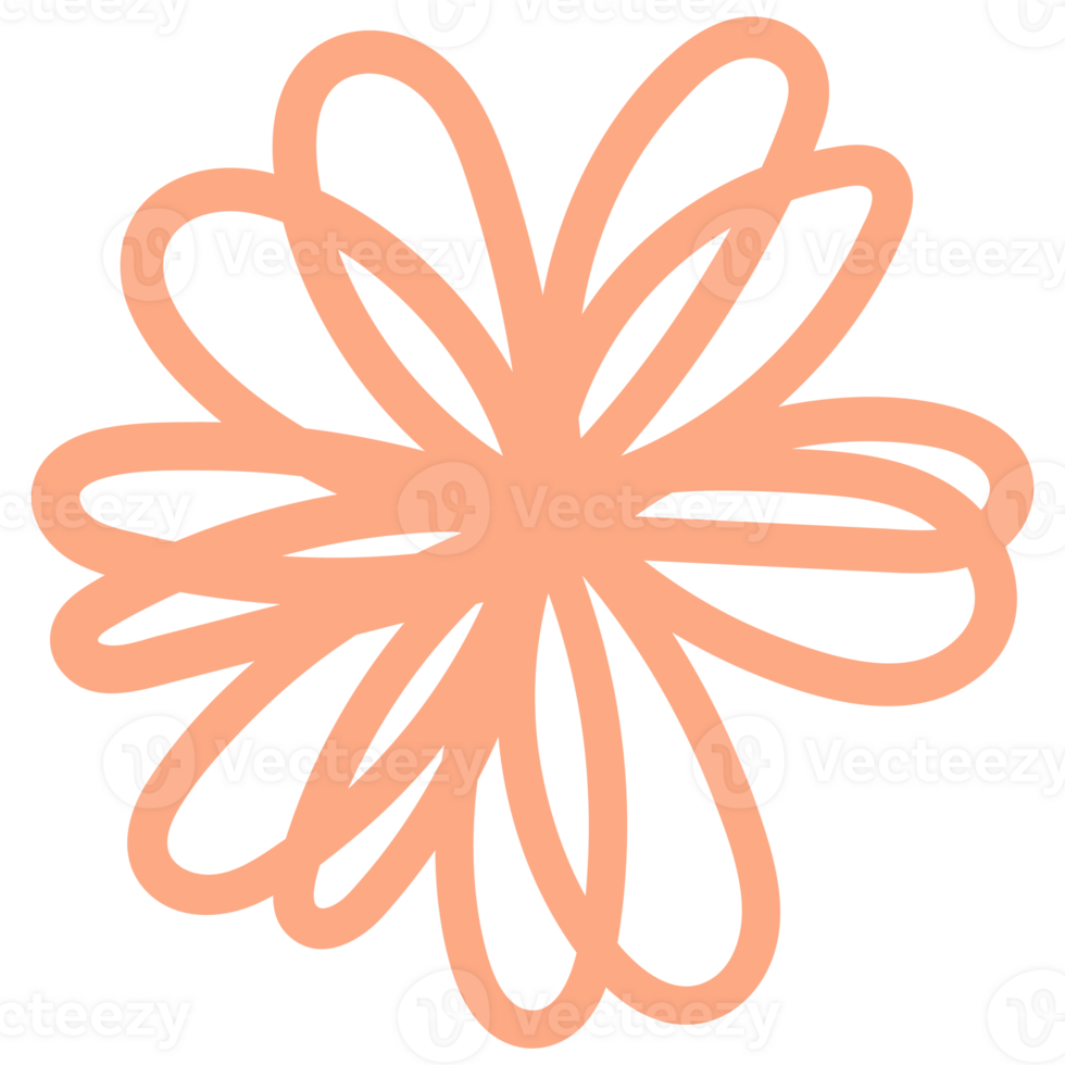 Flowers in hand drawn style. Floral and leaves elements. png