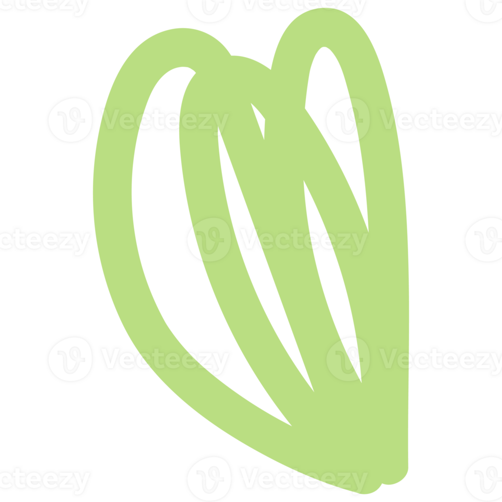 Flowers in hand drawn style. Floral and leaves elements. png