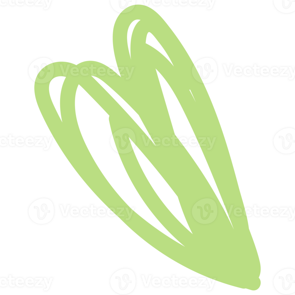 Flowers in hand drawn style. Floral and leaves elements. png