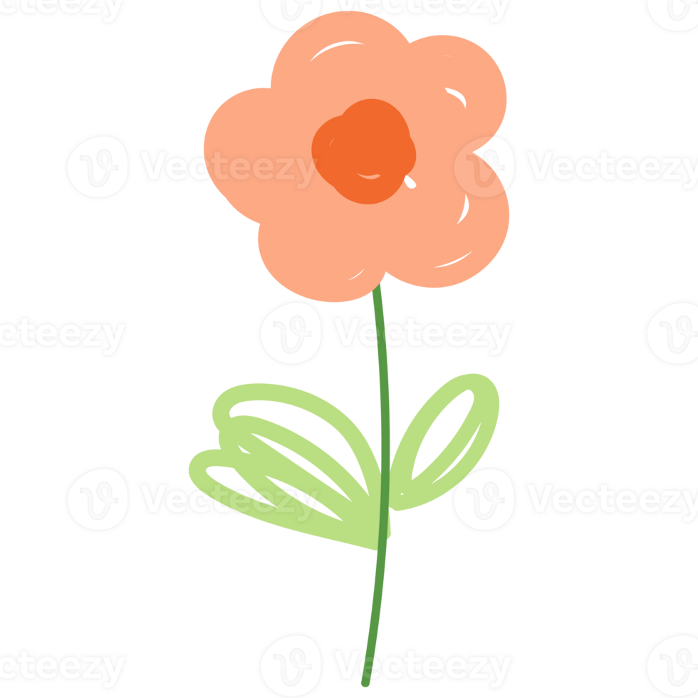 Flowers in hand drawn style. Floral and leaves elements. 28203674 PNG