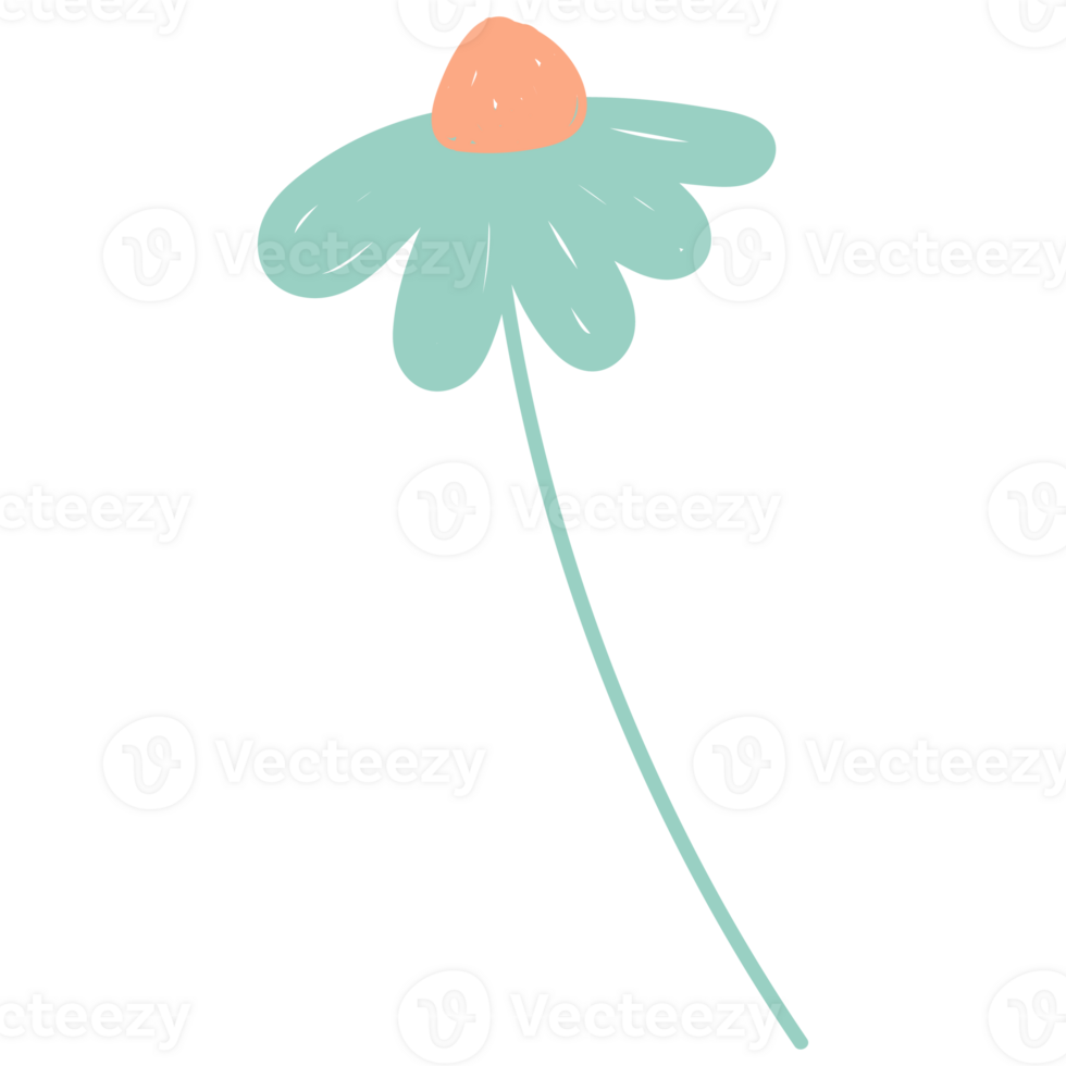 Flowers in hand drawn style. Floral and leaves elements. png