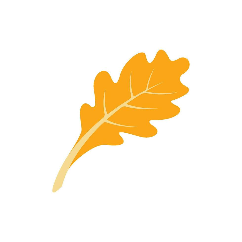 Oak leaf  Autumn icon vector