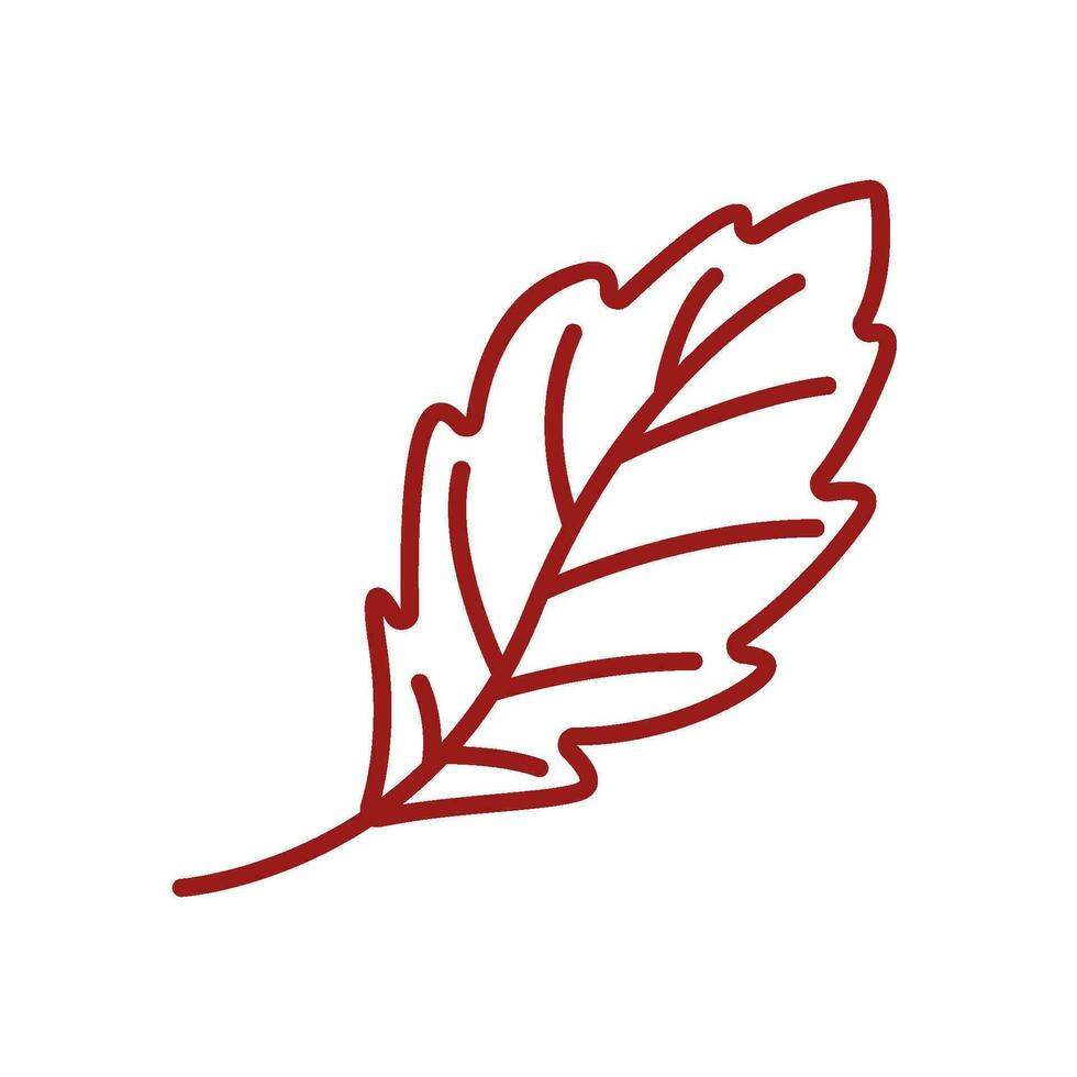 Oak leaf  Autumn icon vector
