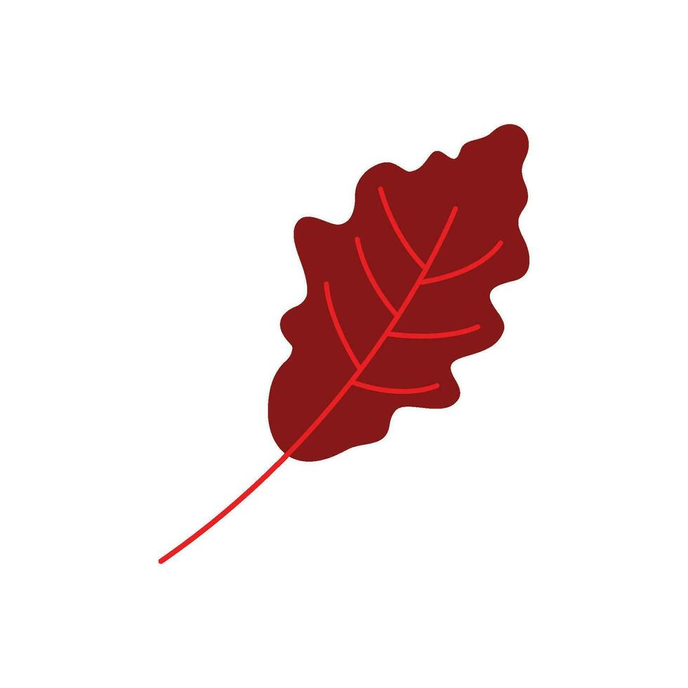 Oak leaf  Autumn icon vector