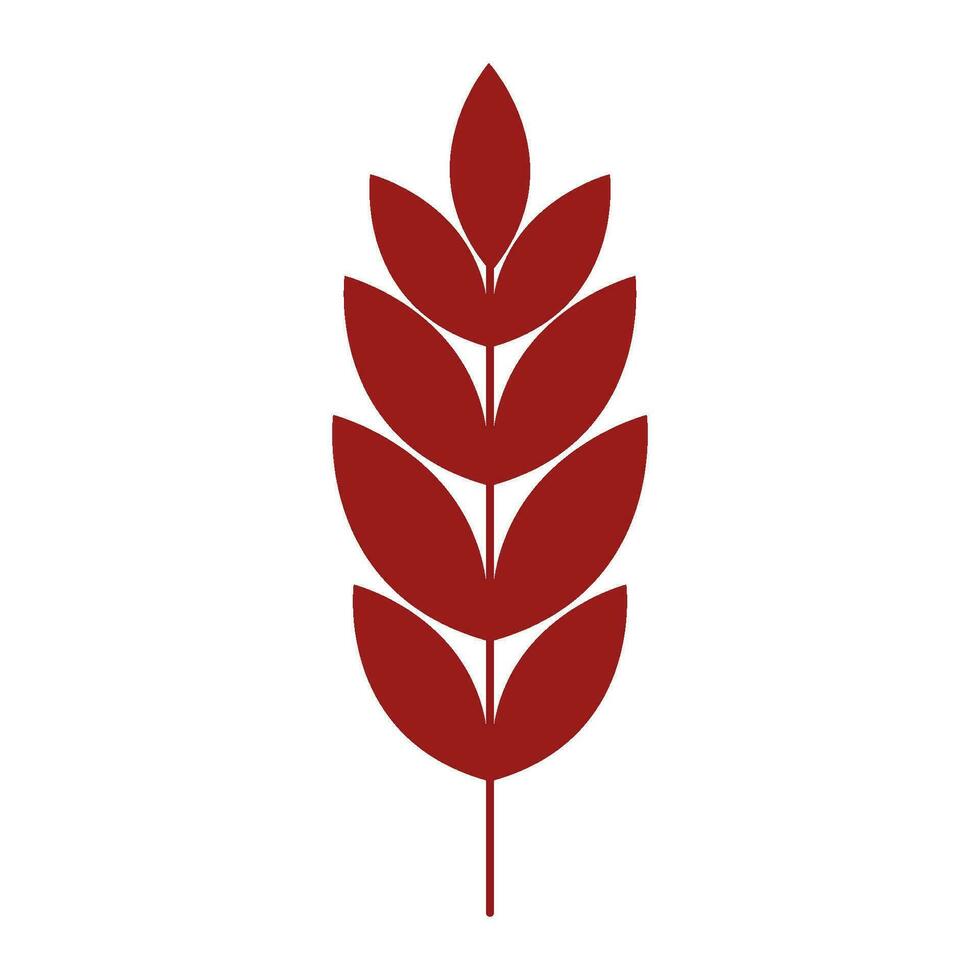 Oak leaf  Autumn icon vector
