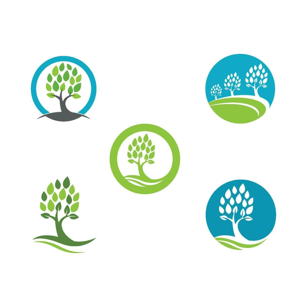 Logos of green Tree leaf ecology vector