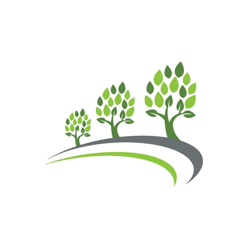 logotipos de la ecología de la hoja del árbol verde vector