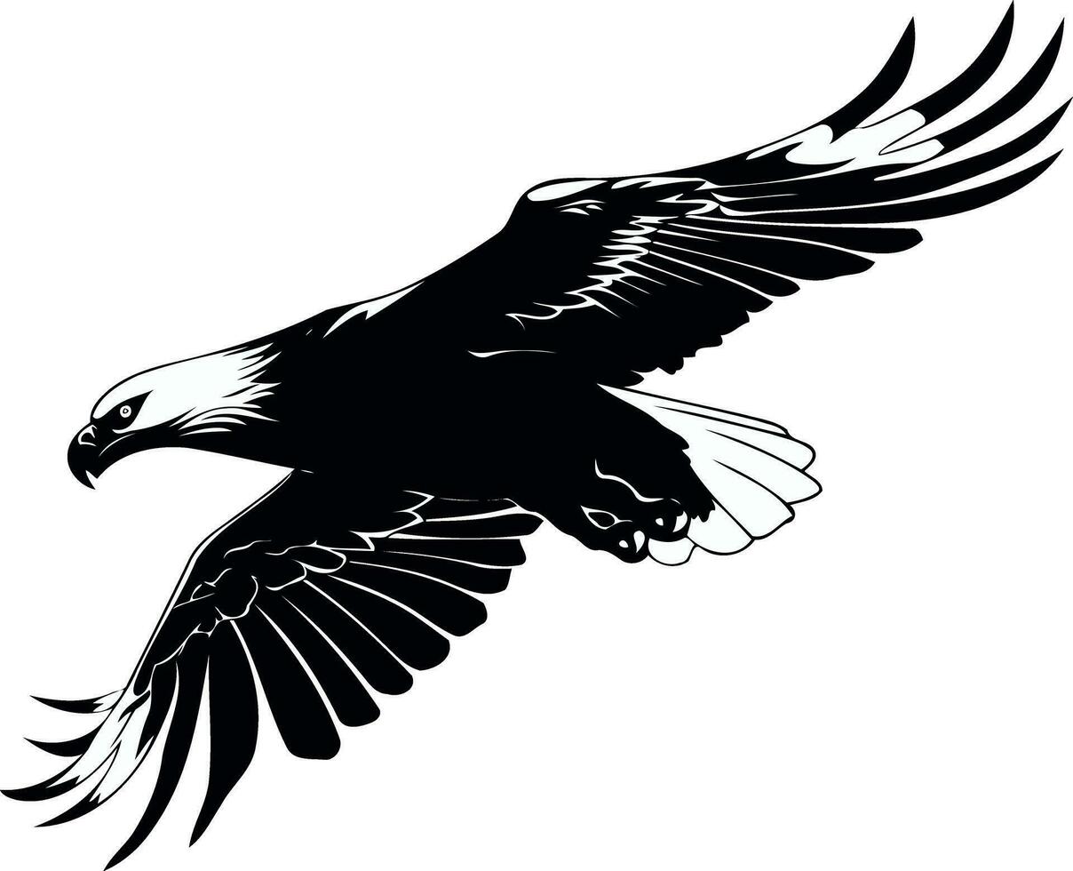 eagle bird flying black white vector