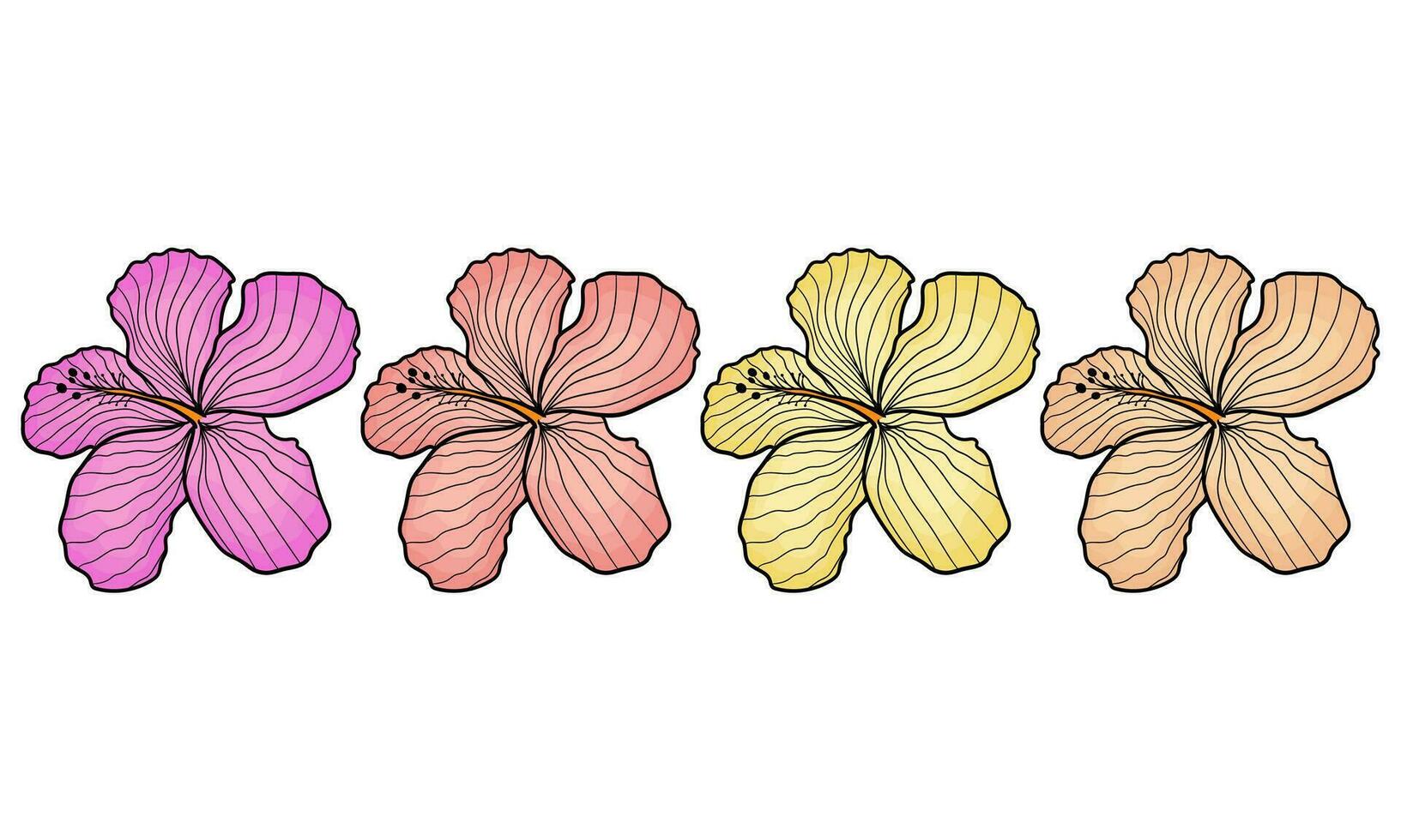 un colección de ilustraciones de hibicus flores vector