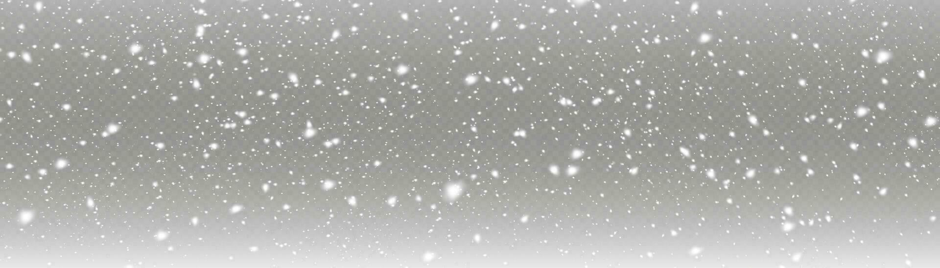 que cae nieve con copos de nieve y nubes mector ilustración. luz, polvo, invierno, tormenta de nieve, Navidad, vector. el efecto de un escarchado tormenta, nevada, hielo. que cae nieve efecto con copos de nieve vector