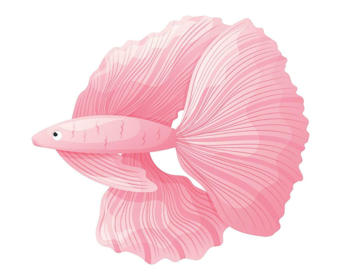 vector dibujos animados aislado mar rosado pescado gallo joven.