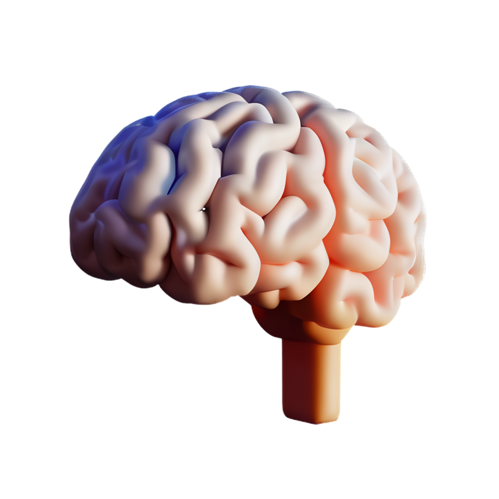 cerebro 3d icono ilustración png