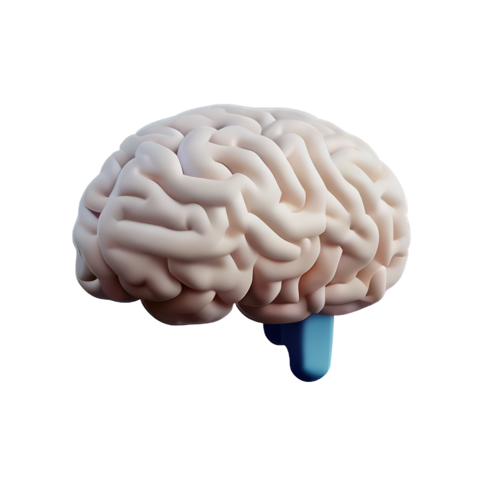 brain 3d icon illustration png