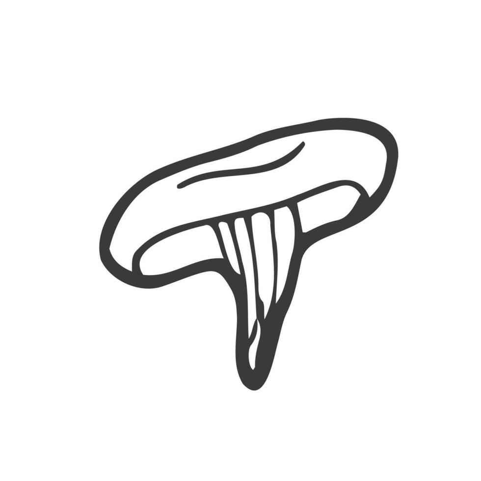 Chanterelle mushroom. Hand drawn sketch icons of forest plants. Botanical isolated vector illustration in doodle line style.