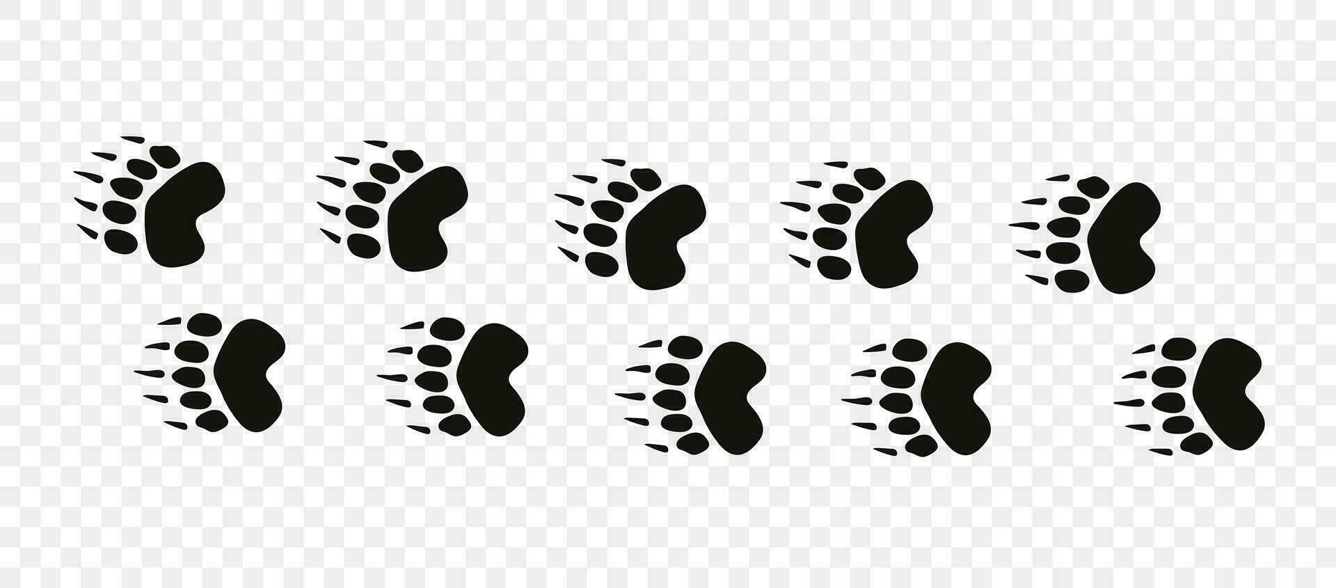 Footpath trail of animal. Bear paws. Bear paws walking randomly print vector isolated on white background.