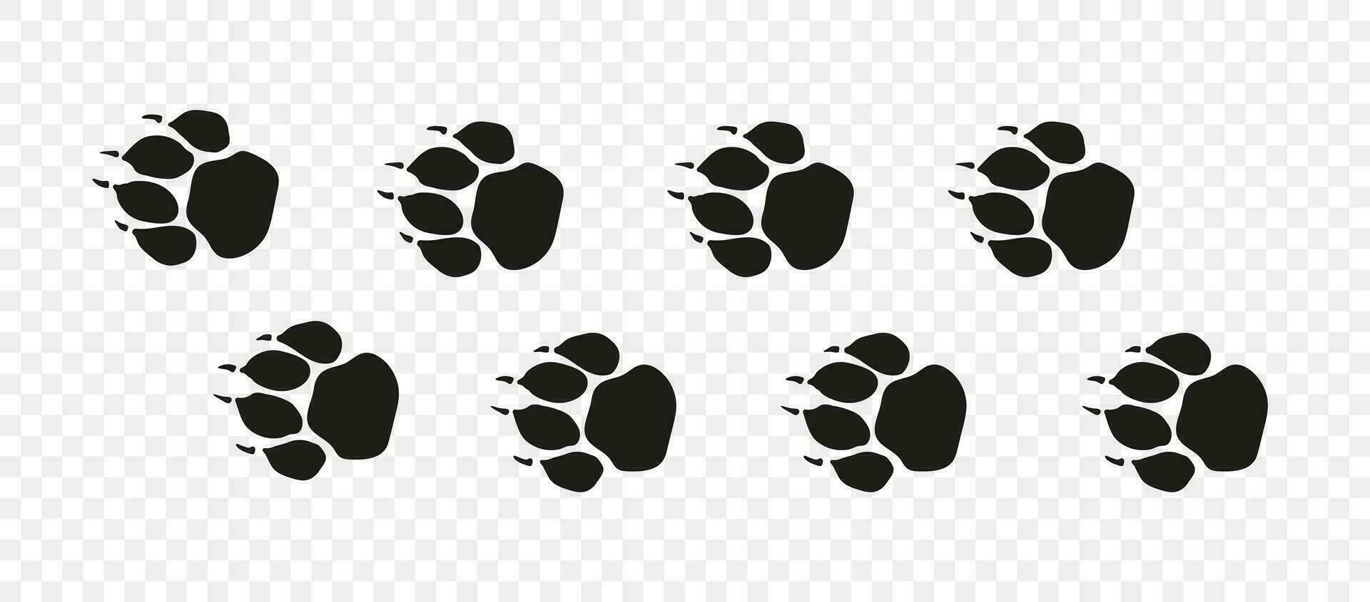 Tiger or lion paw footprint way. Lion paws walking randomly print vector isolated on white background. Vector animal steps in black color.