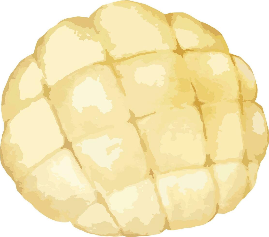 melon pan Hand drawn watercolor illustration isolated element vector