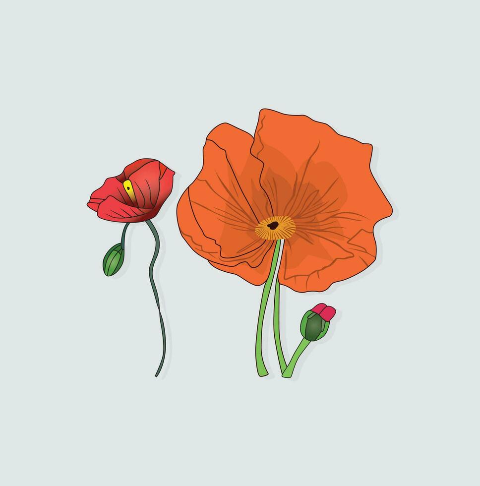 Flat flower vector Illustration Hand Drawn outline