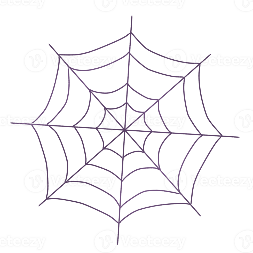 Cartoon drawing of spider webs png