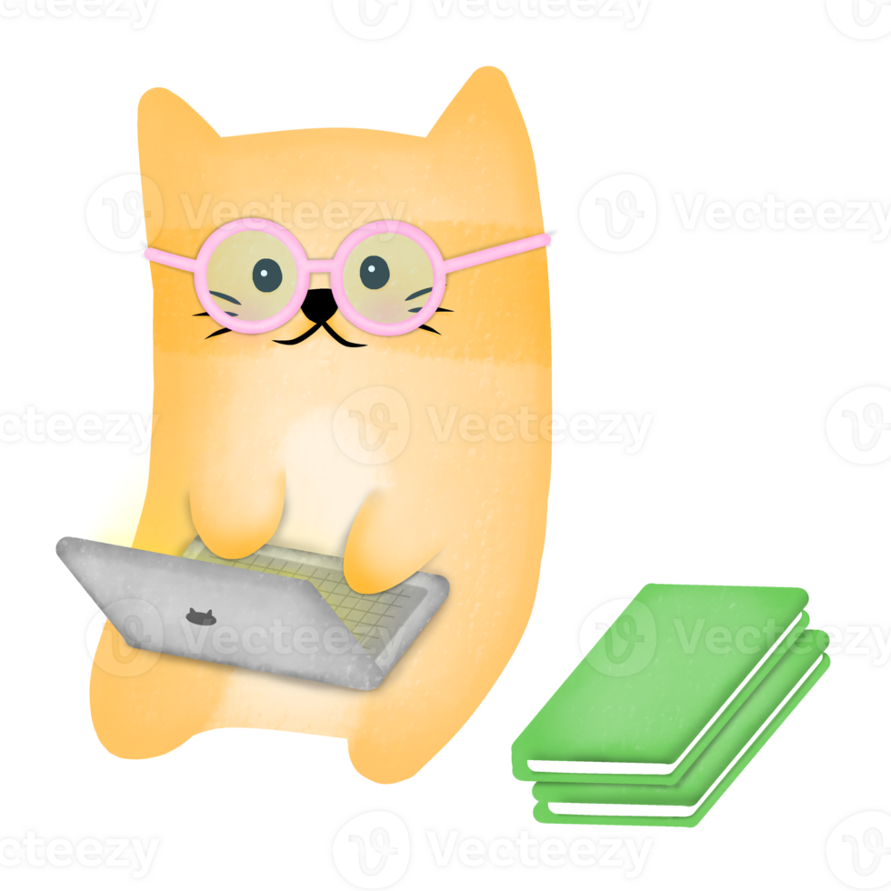 Cute Orange Cat During the Day png