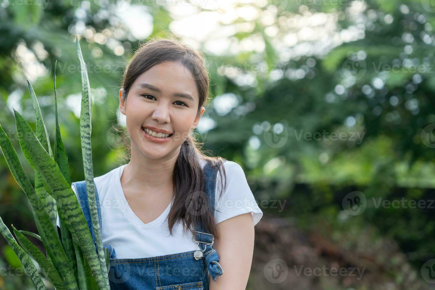 beautiful Asian woman female plant and take care trees in flowerpots as hobby and relax. plant sales small business. house garden, jungle, gardener, flower decoration, green, happy lifestyle in home photo