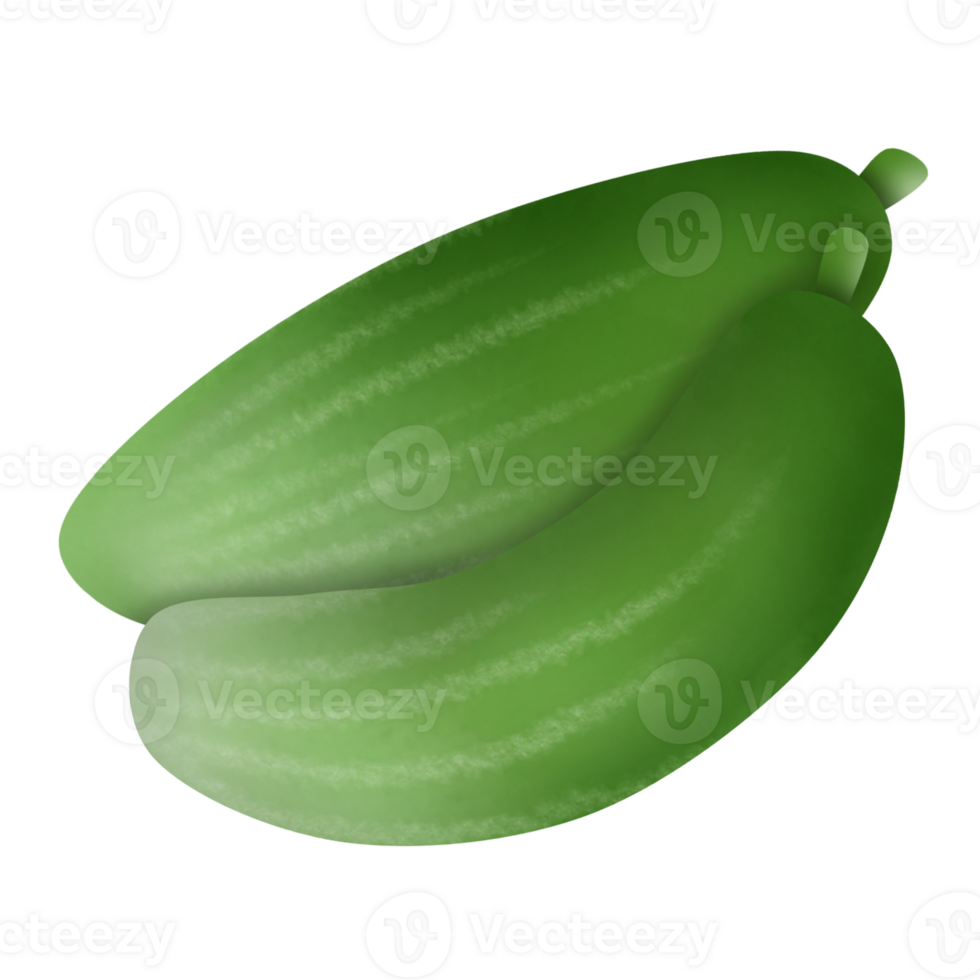 cucumber cartoon drawing png