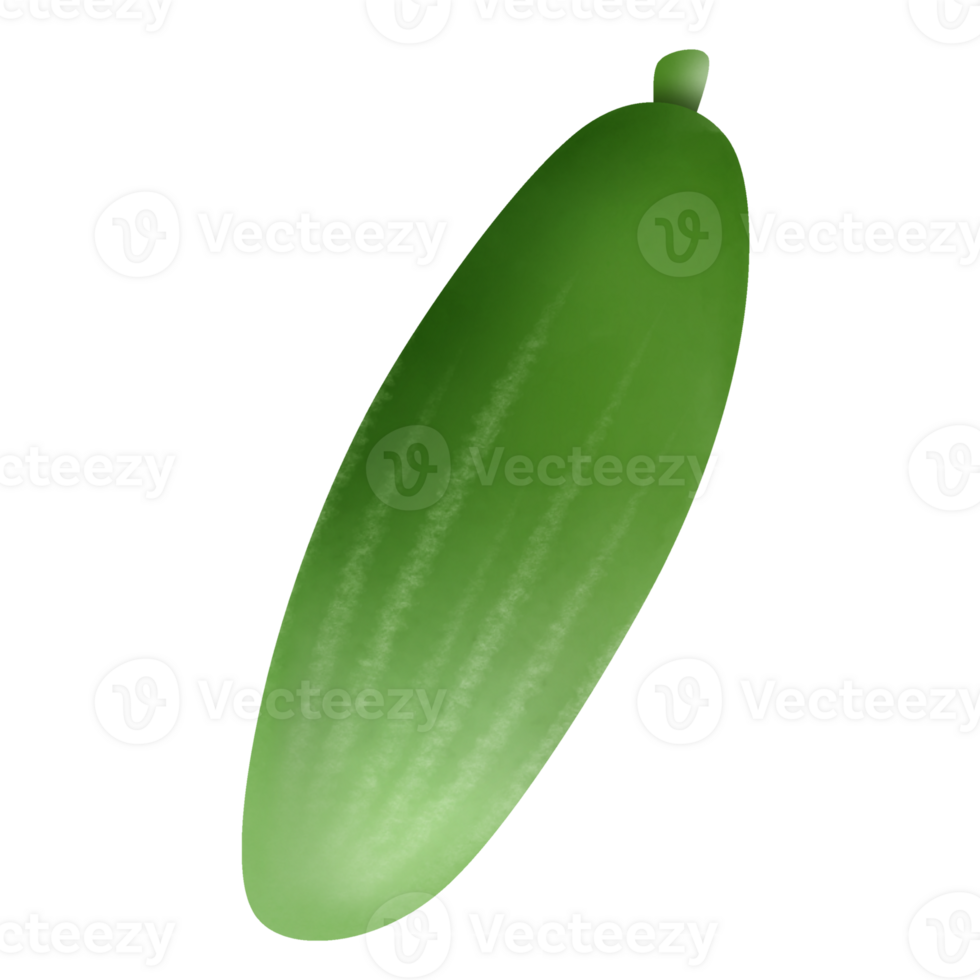 cucumber cartoon drawing png