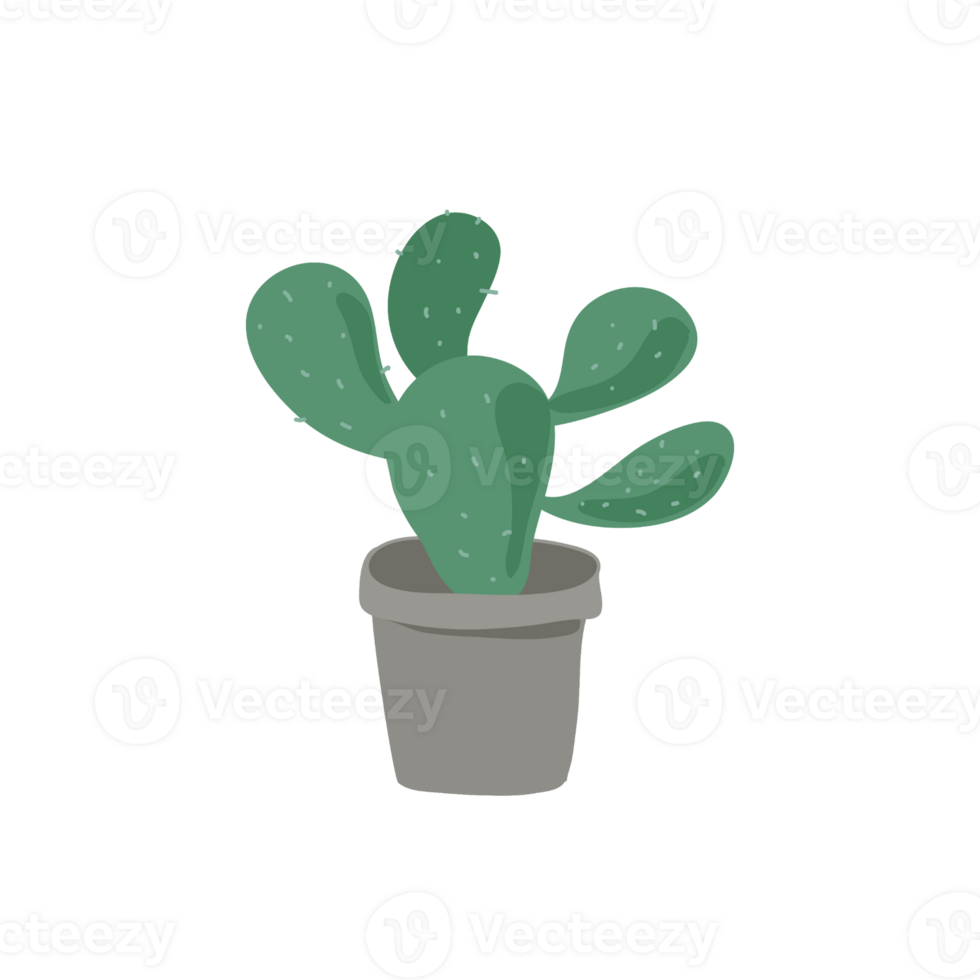 garden plants design png