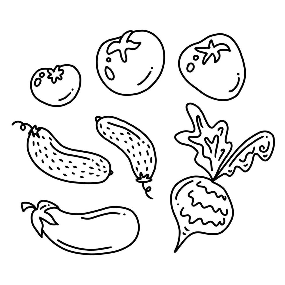 Vegetables cartoon doodle drawing collection. Vegetable such as cucumber, eggplant, tomato, beet. Hand drawn doodle illustrations vector