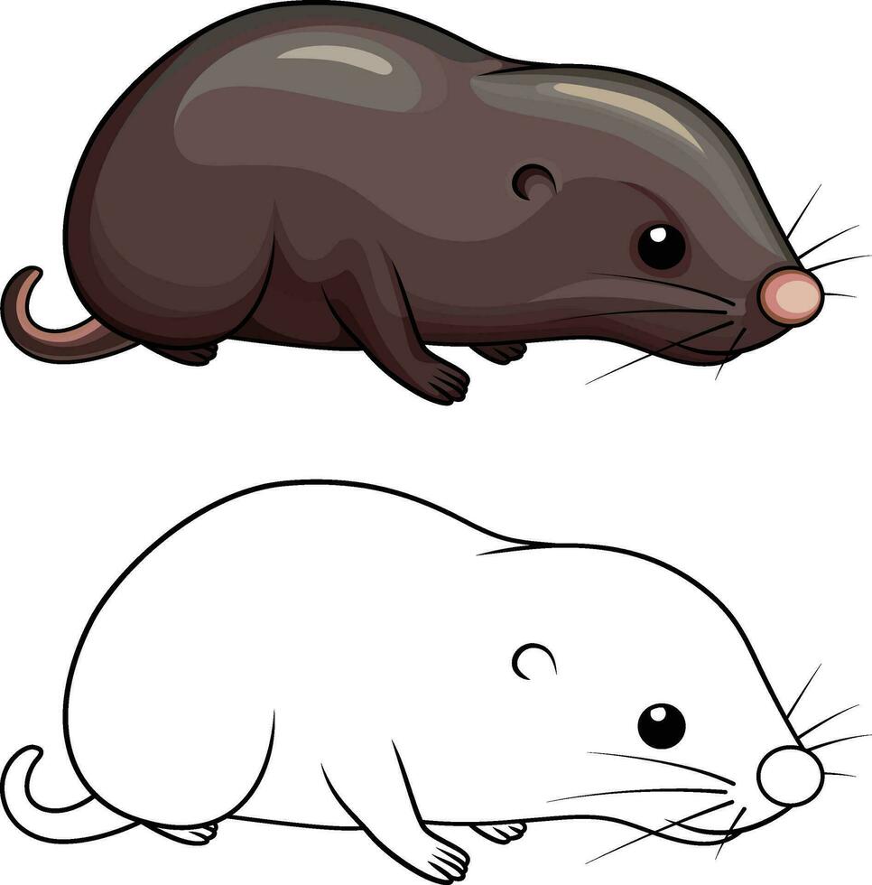 Mole cartoon style vector illustration, mouldwarp Talpidae colored and black and white line art stock vector image