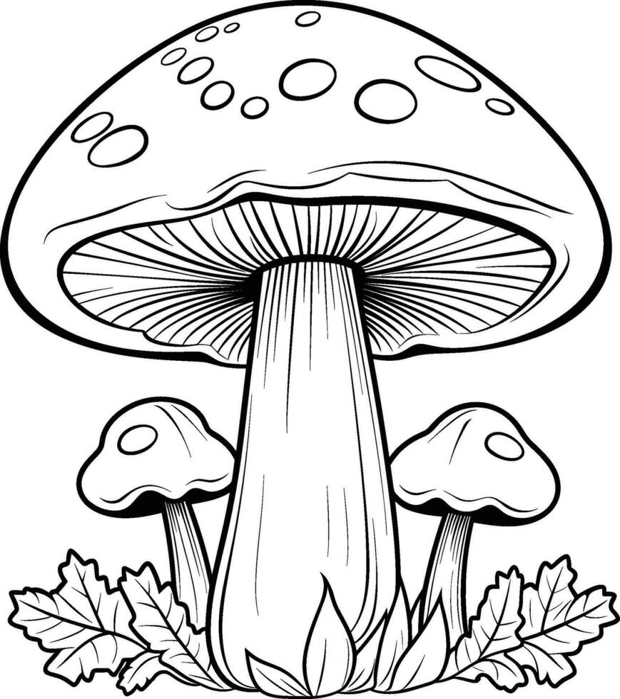 Hand drawn outline of mushrooms in the grass vector