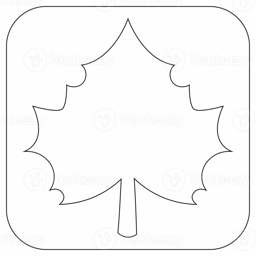 Tree leaf icon for decoration and design. photo