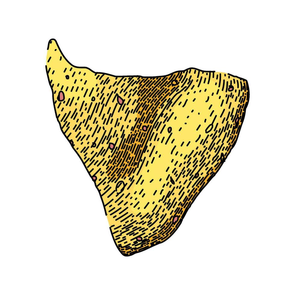 maíz nachos bosquejo mano dibujado vector