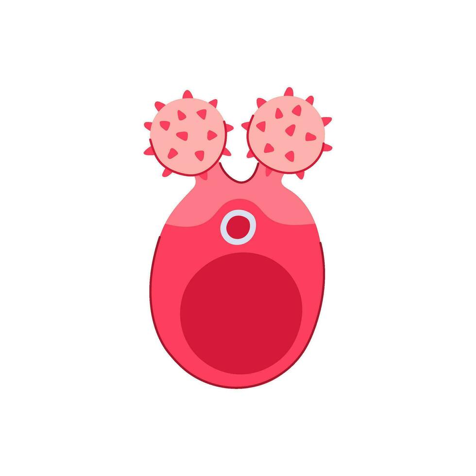 skin face massager cartoon vector illustration