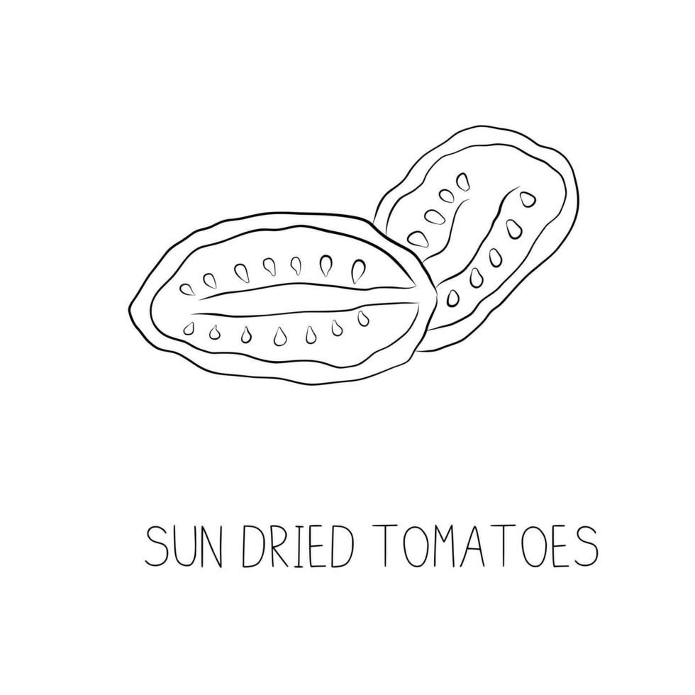 Sketch Sun Dried Tomatoes Simple Vector Illustration in Doodle Style