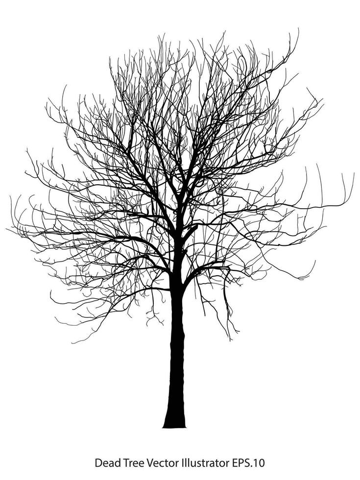 Dead Tree without Leaves Vector Illustration Sketched, EPS 10.