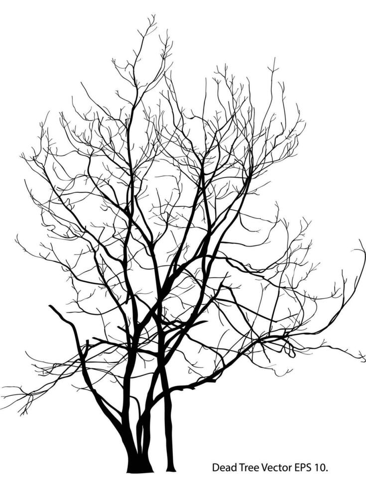 muerto árbol sin hojas vector ilustración bosquejado, eps 10