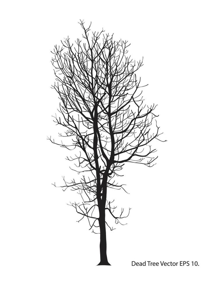 Dead Tree without Leaves Vector Illustration Sketched, EPS 10.