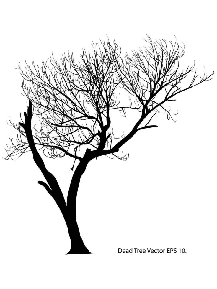 muerto árbol sin hojas vector ilustración bosquejado, eps 10