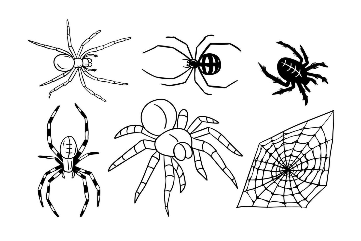 mano dibujado garabatear conjunto de diferente tipo de arañas y araña web. bosquejo diseño para Víspera de Todos los Santos. negro bosquejo elementos en blanco antecedentes. bueno para colorante páginas, pegatinas, tatuaje vector